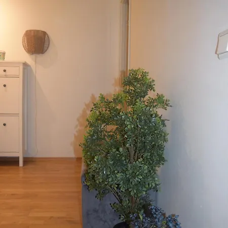 Spacious In Oslo