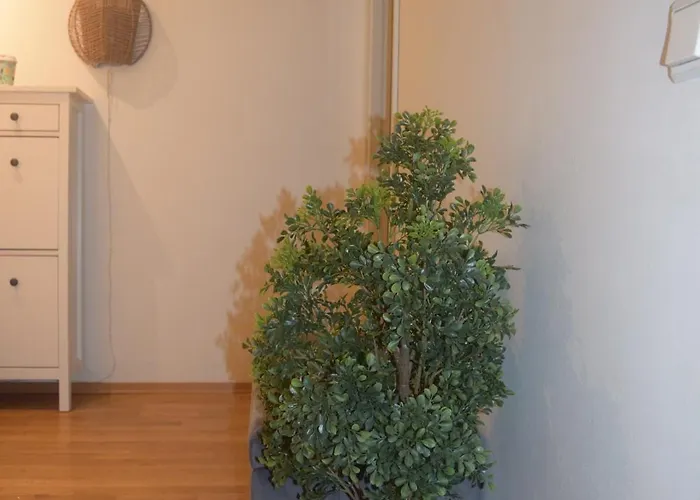 Spacious In Oslo